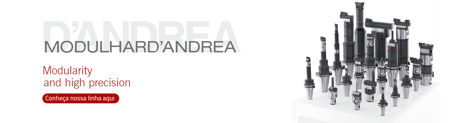 banner d'andrea